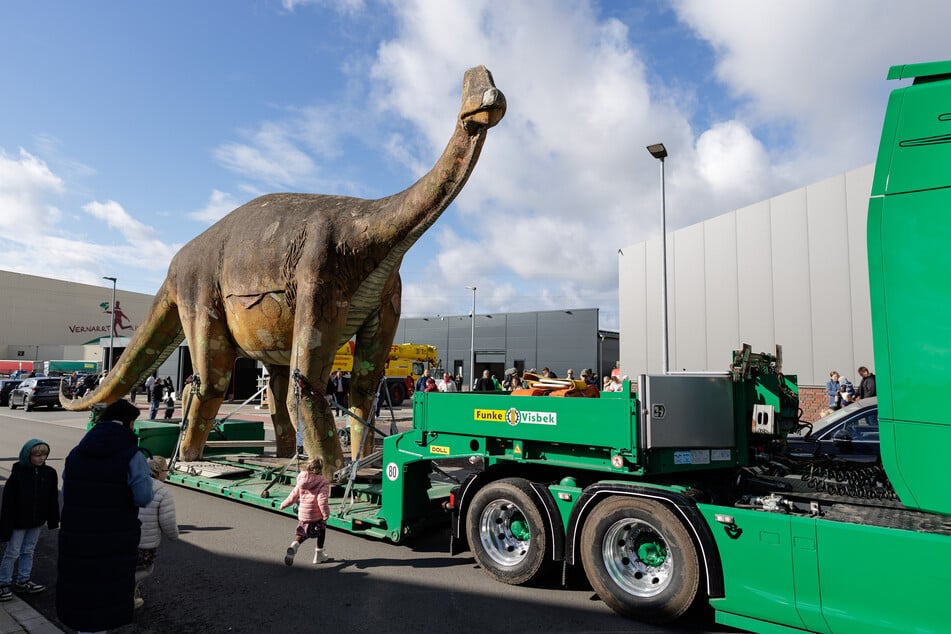 Der Dino war schwerer als gedacht: Statt der geschätzten sechs bis acht Tonnen brachte "eLise" 11,5 Tonnen auf die Waage. Glück im Unglück: Der Transporter war für bis zu 13 Tonnen ausgelegt.