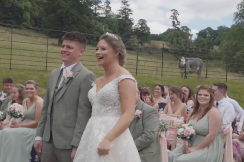 A cow crashed this couple's wedding with multiple loud objections!