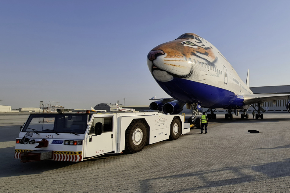 Mit einem Flugzeug werden die Tiere von Afrika nach Asien gebracht.