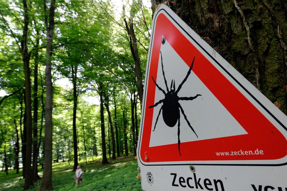 Durch die milden Winter nehmen Zahl und Aktivität der Zecken zu.