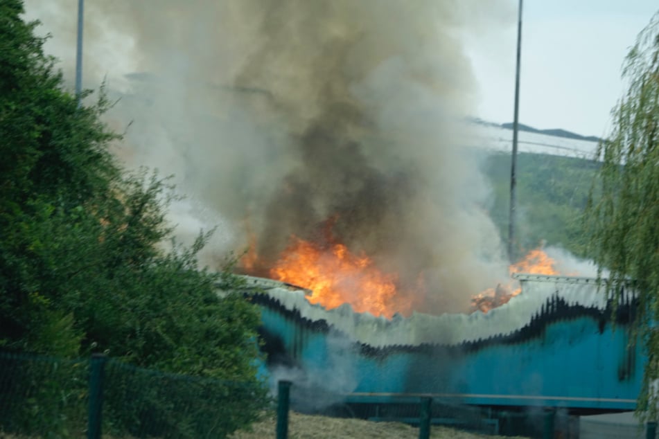 Mehrere Müllcontainer standen in Flammen.