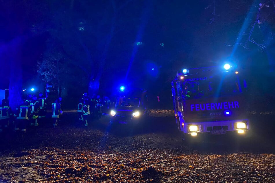 Die Rettungsfahrzeuge tauchten den Wald in Blaulicht.