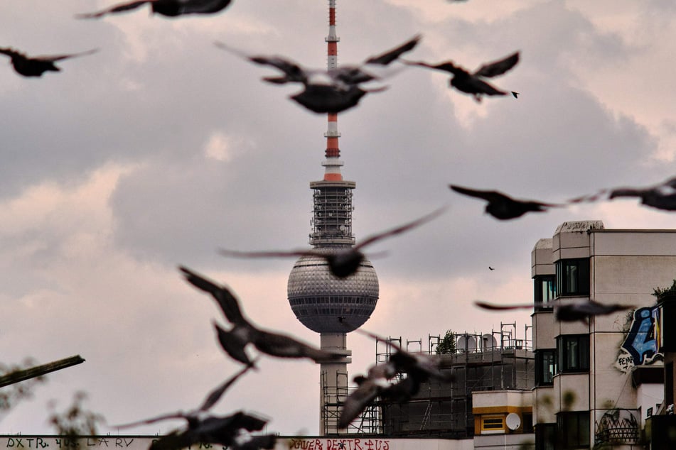Graue Wolken prägen wie hier am Berliner Alexanderplatz das Bild der kommenden Tage.