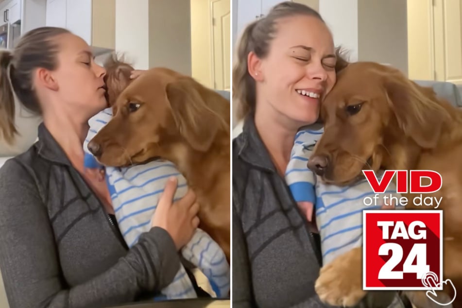 This dog just proved he's the sweetest big brother ever!
