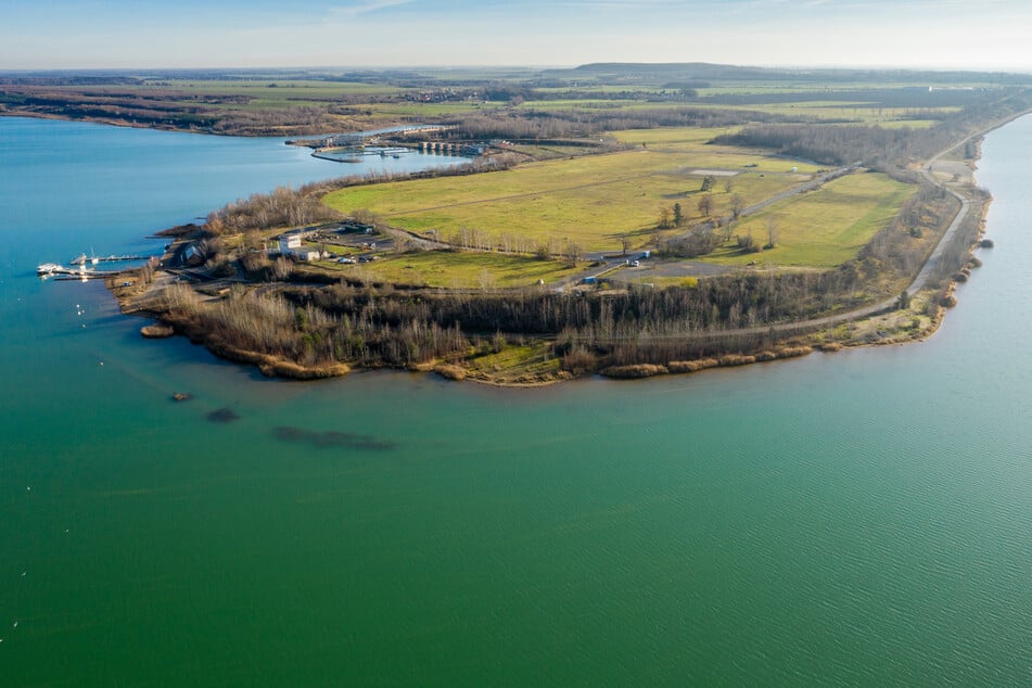Die Tagebauseen sind laut den Naturschützern ein wichtiges Rast- und Überwinterungsgebiet für streng geschützte Vogelarten. (Archiv)