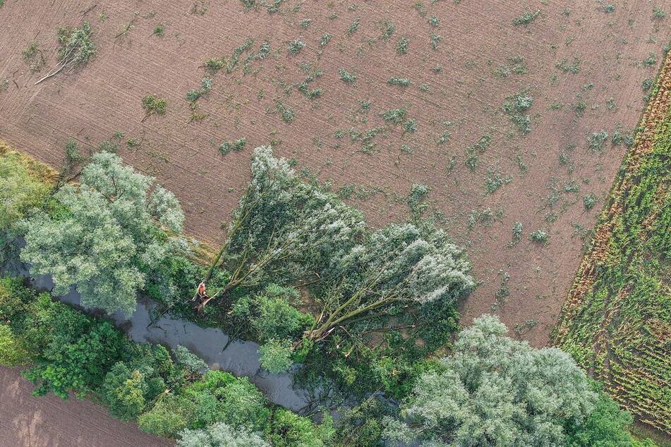 Landwirte meldeten massive Ernteausfälle aufgrund des Unwetters.
