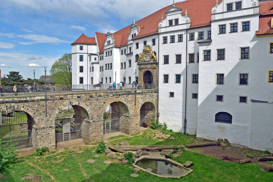 Neben der Geburtstagsbärin leben auch Bea und Benno (beide 10) auf Schloss Hartenfels.
