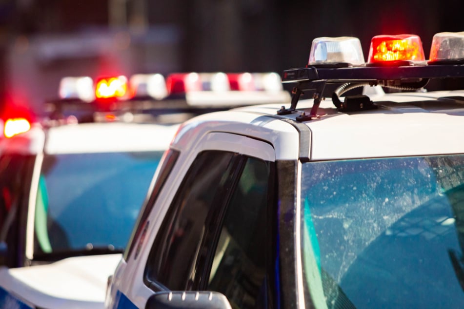 A man fleeing from police caused an accident that left a total of five people dead (stock image).