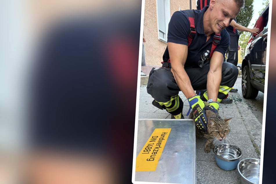 Die Münchner Feuerwehr befreite die Tiere und kümmerte sich um sie.