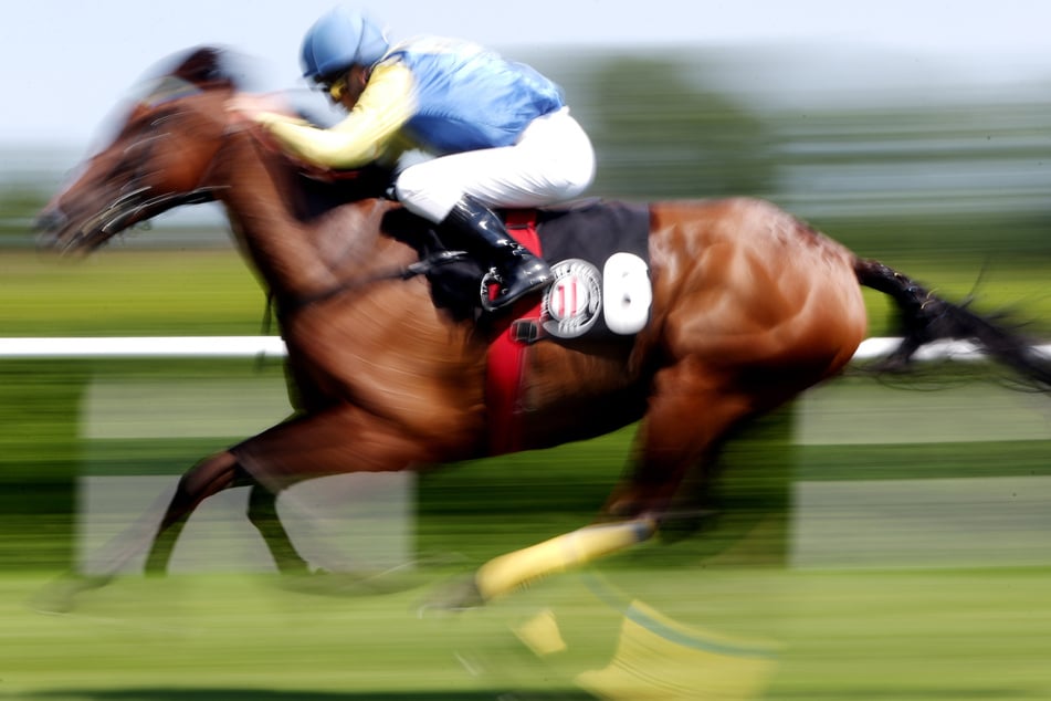"Smart Latch" gewann mehrere Rennen in der türkischen Stadt Adana, musste wegen einer Beinverletzung aber vorzeitig in den Ruhestand. (Symbolbild)