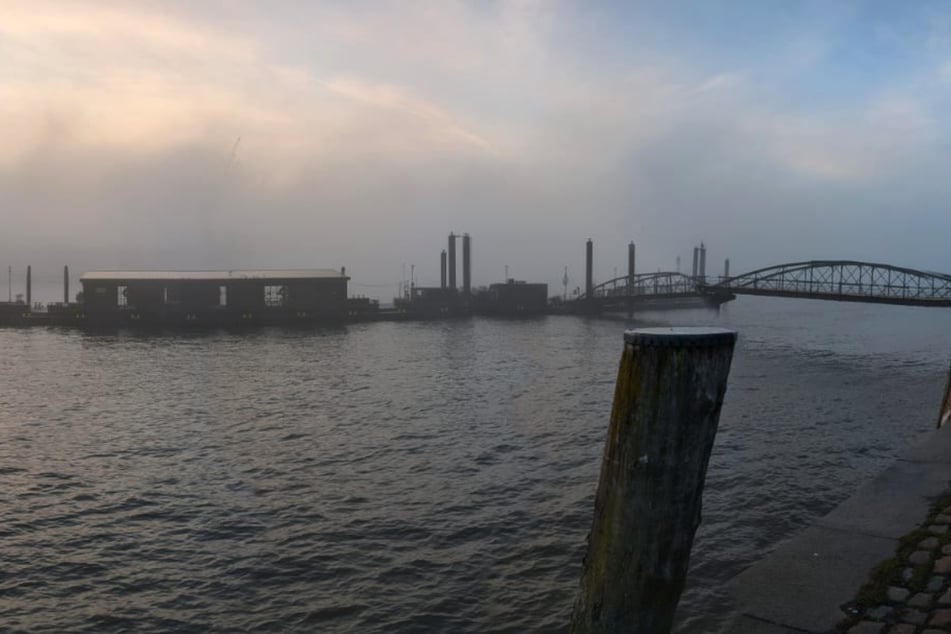 Hamburg: Hupkonzert im Hamburger Hafen: Das ist der Grund