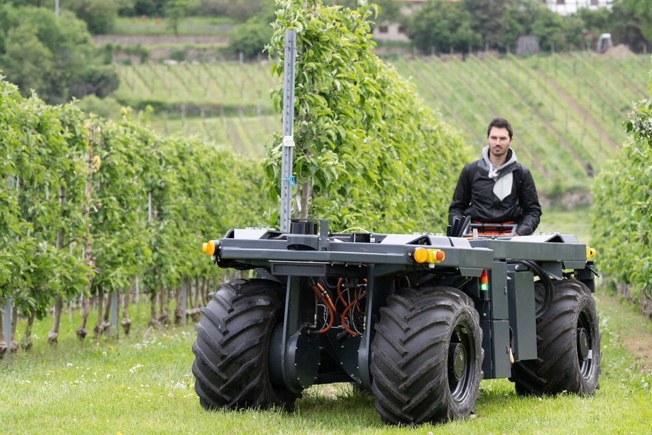 Ein Mitarbeiter der TU Dresden steuert den Obst- und Weinbauroboter durch eine Apfelplantage.