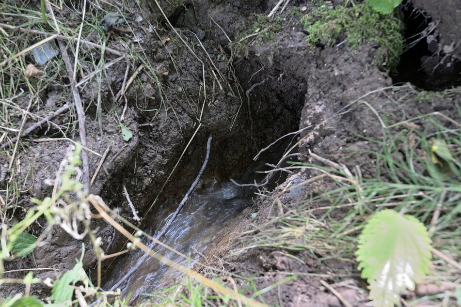 Hier tritt eindeutig Wasser aus.