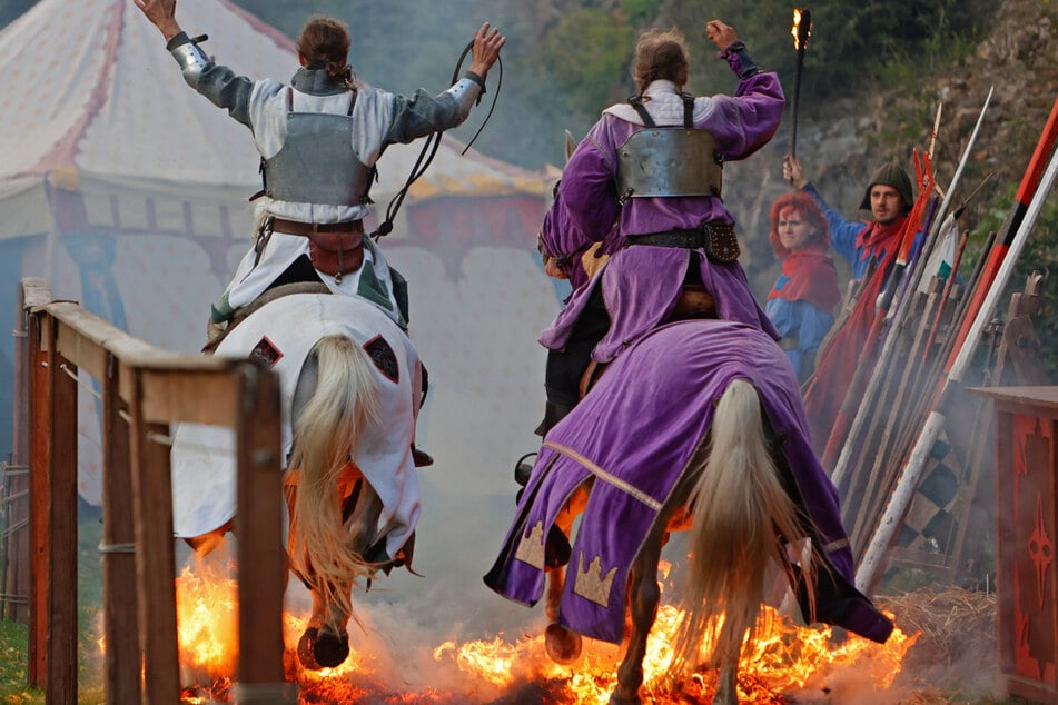 Mittelalterfest in Köln ruft PETA auf den Plan: Tierschützer kritisieren Pferdeshow