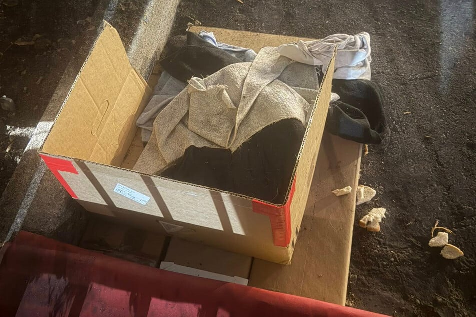 In diesem Karton übernachtete der Hund. Er hatte mehrere Decken, etwas Futter und Wasser.