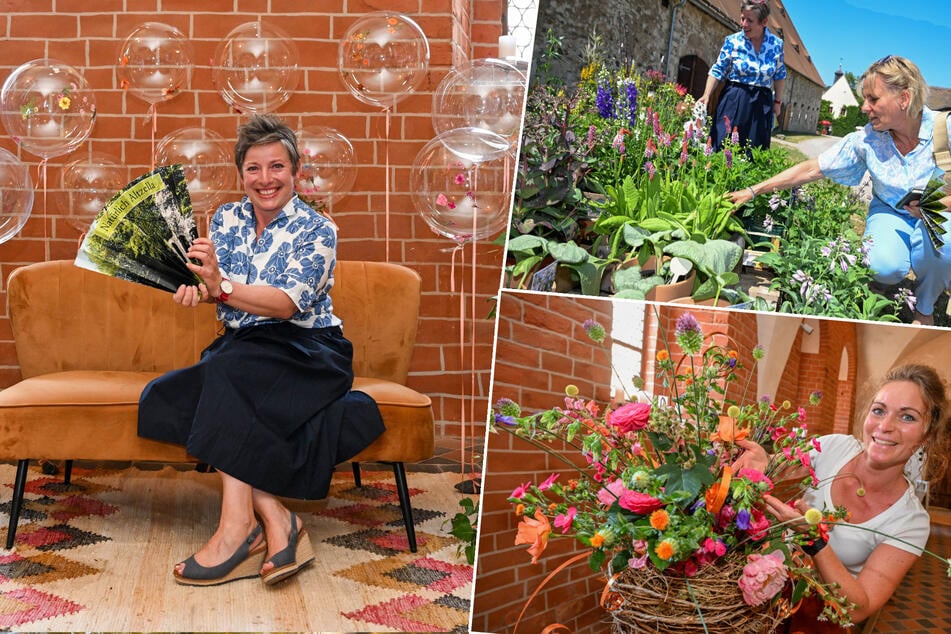 Von England nach Sachsen: Wie aus einer Gärtner-Idee das Blumenparadies Altzella wurde