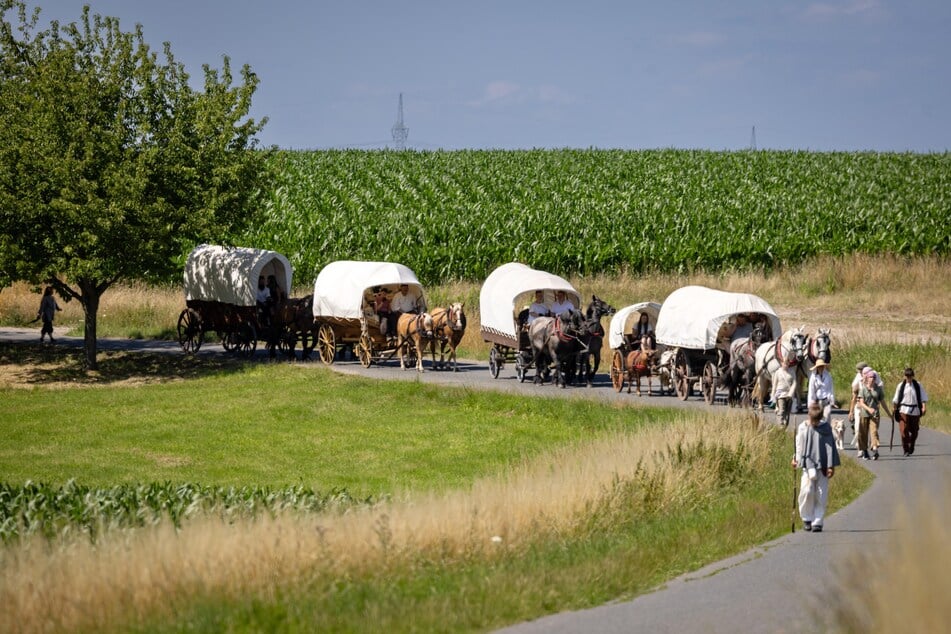 Der historische Besiedlungszug mit rund 15 Planwagen zieht jedes Jahr zu Beginn der Sommerferien durch Sachsen.