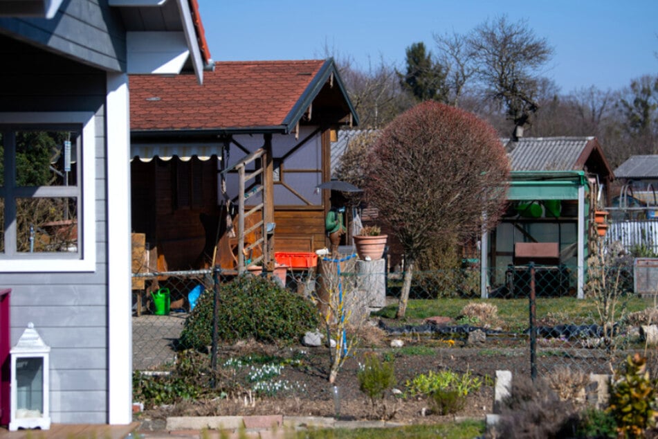 Zehntausende Bayern freuen sich auf die anstehende Kleingartensaison. Mehr Pacht soll sie vorerst für ihre Parzellen nicht bezahlen müssen.