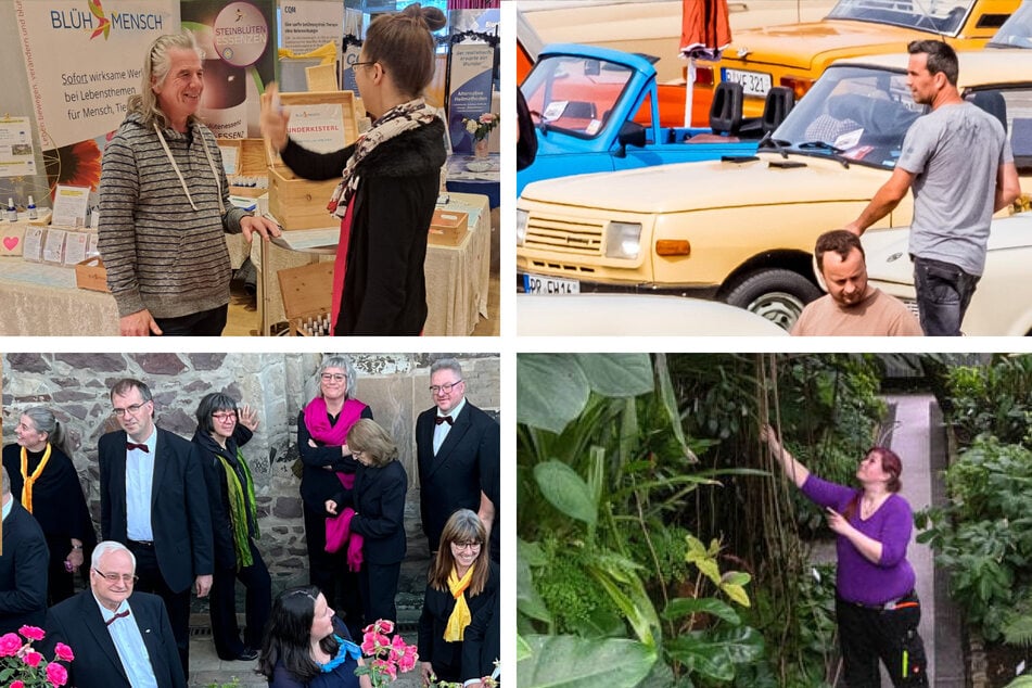 Keine Ideen für den Samstag? Hier könnt Ihr in Magdeburg was erleben