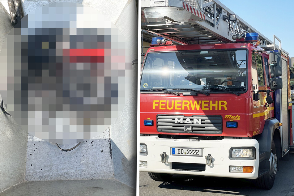 Dresden: Feuerwehreinsatz im Dresdner Süden: Das ist der Auslöser!