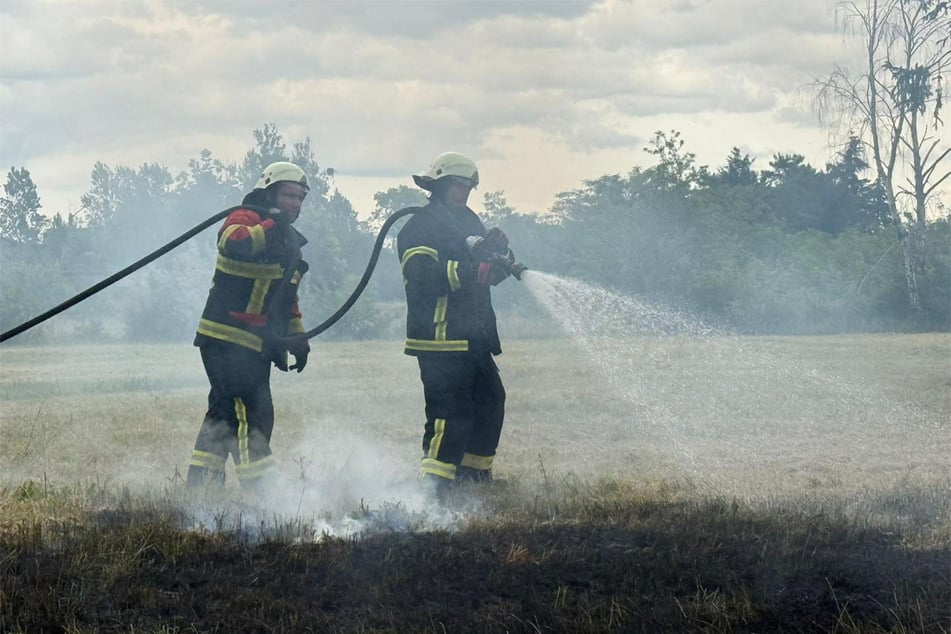 Durch schnelles Eingreifen der Feuerwehr konnte eine Ausbreitung der Brände verhindert werden.