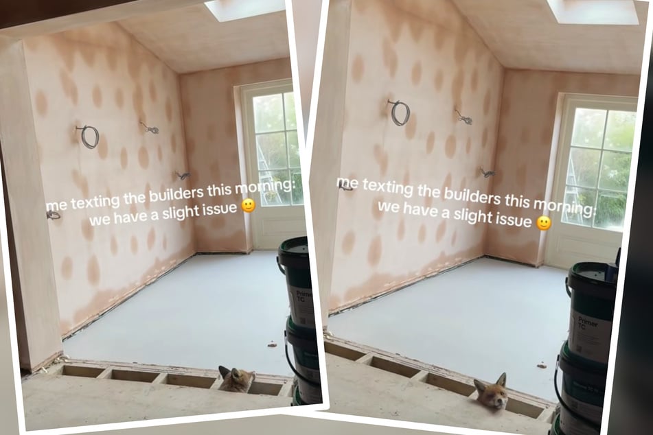 Frau renoviert Haus: Was sie unter den Dielen entdeckt, lässt ihr den Atem stocken