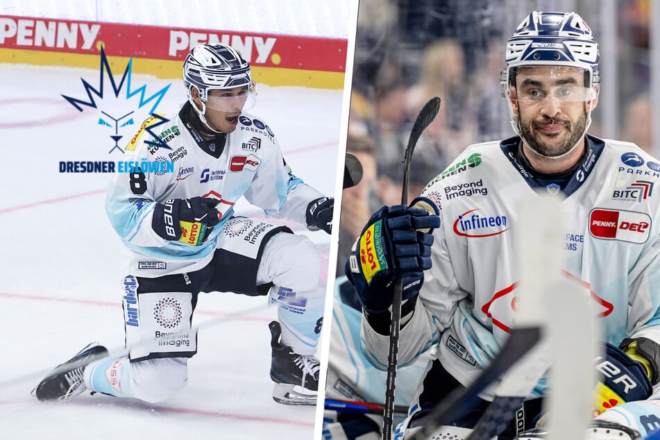 Elf Spieler verlassen die Eislöwen! Gelingt den Dresdnern trotzdem ein Coup?