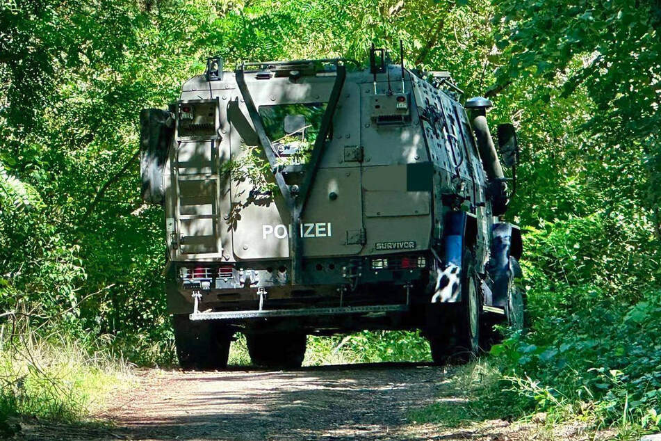 Bei der Suche nach der vermeintlich ausgerissenen Löwin hat die Polizei die Wälder im Süden Berlins sogar mit einem gepanzerten Fahrzeug abgesucht.