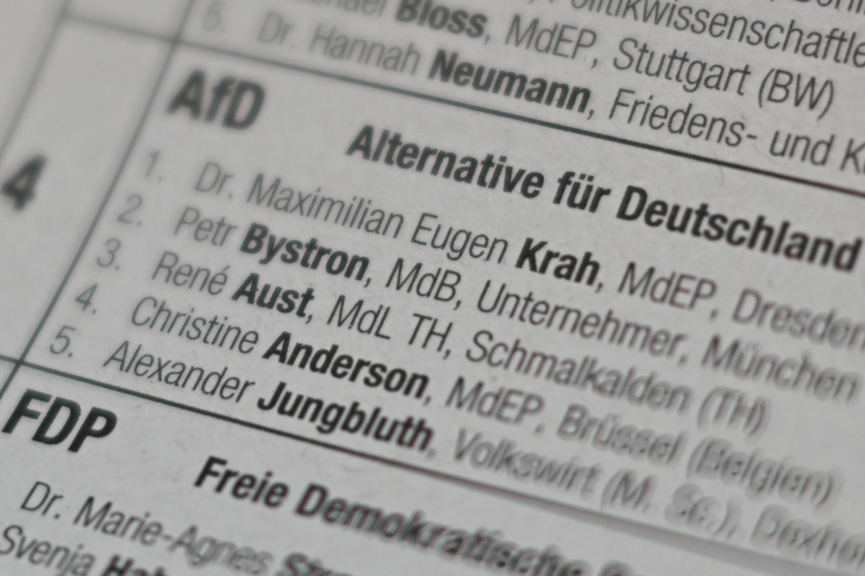 Maximilian Krah und Petr Bystron standen für die AfD auf den Spitzenplätzen für die Europawahl.