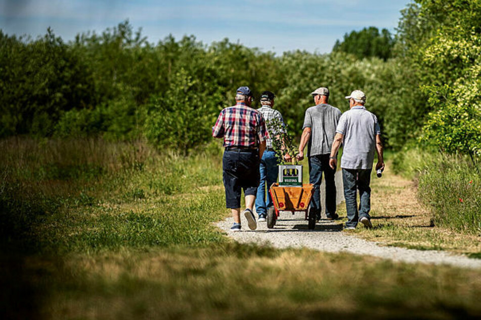 So geht coronakonformes Herrentagsfeiern: Zwei Männer unterschiedlichen Hausstandes ziehen den Bollerwagen, mit 1,50 Metern Abstand folgt das nächste Paar.