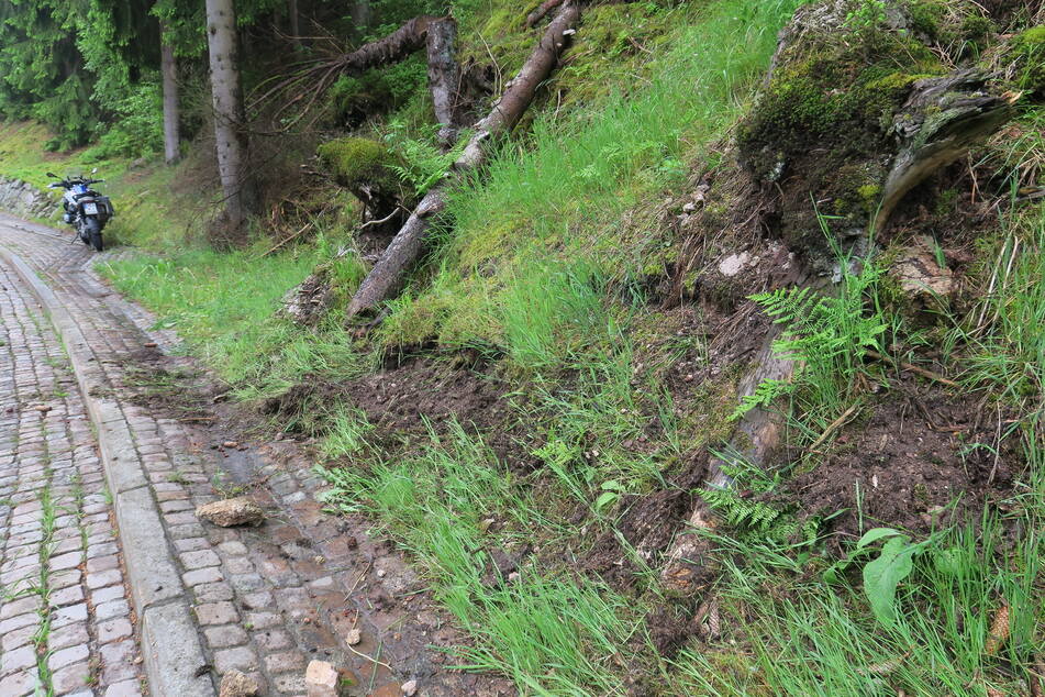 Der Biker rutschte in den Seitengraben und gegen Felsen und Bäume.