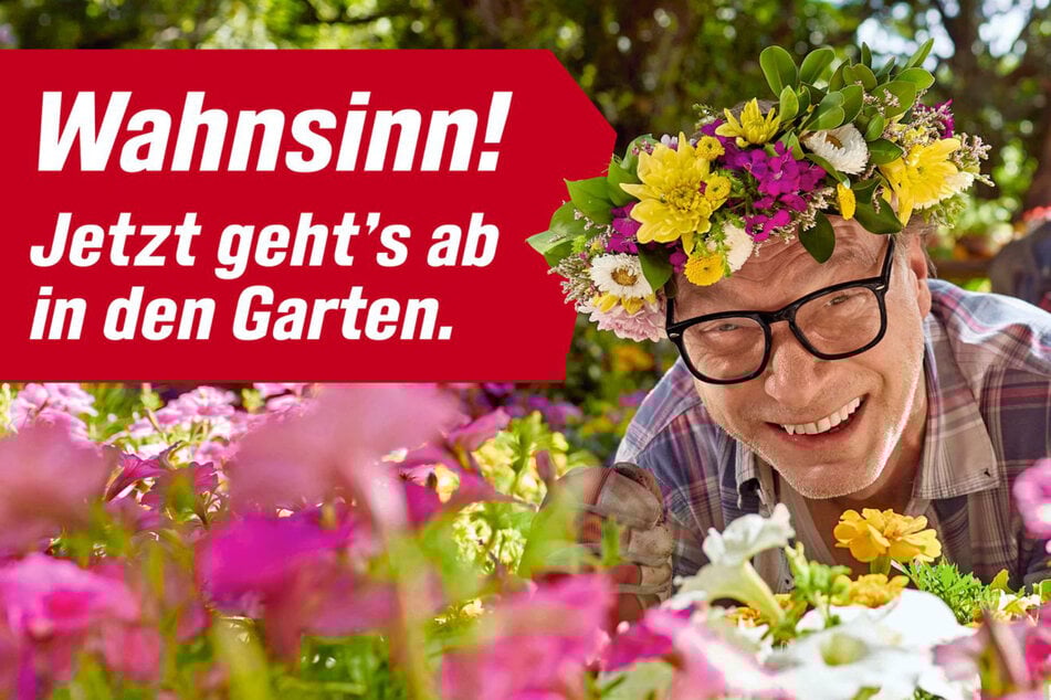 Dresden: Tatort-Kommissar Brambach singt jetzt auch als Baumarkt-Jochen