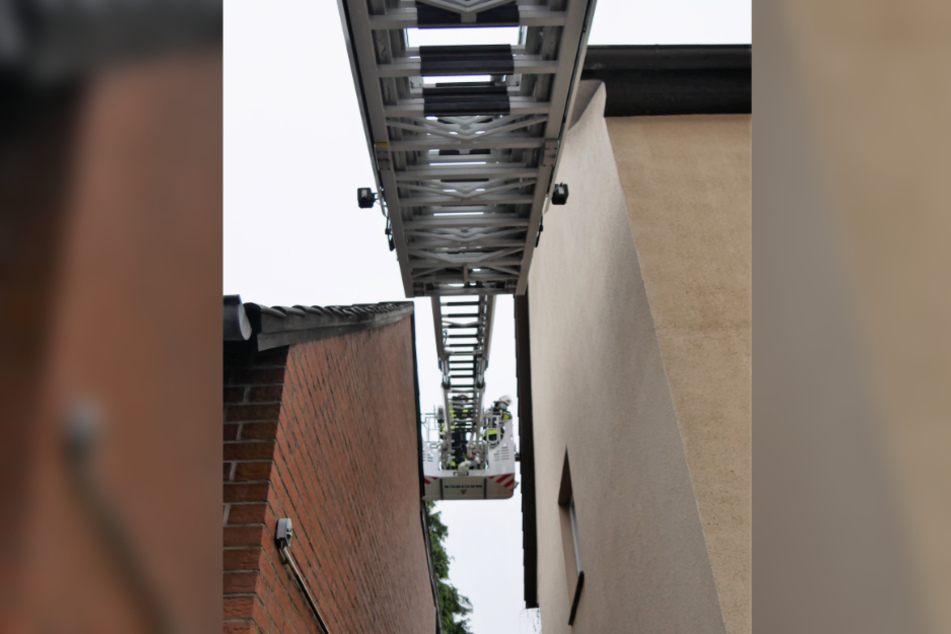Die Katze zu retten, war für die Feuerwehr in Celle keine einfache Angelegenheit.
