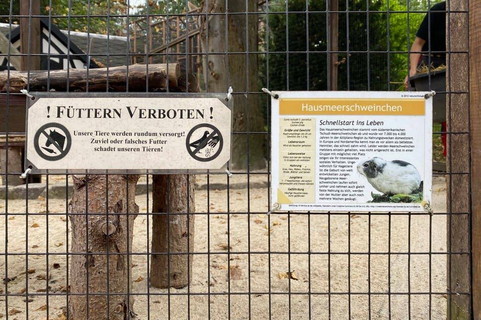 Mittlerweile hat der Zoo der Minis an fast jedem Gehege ein "Füttern verboten"-Schild angebracht.