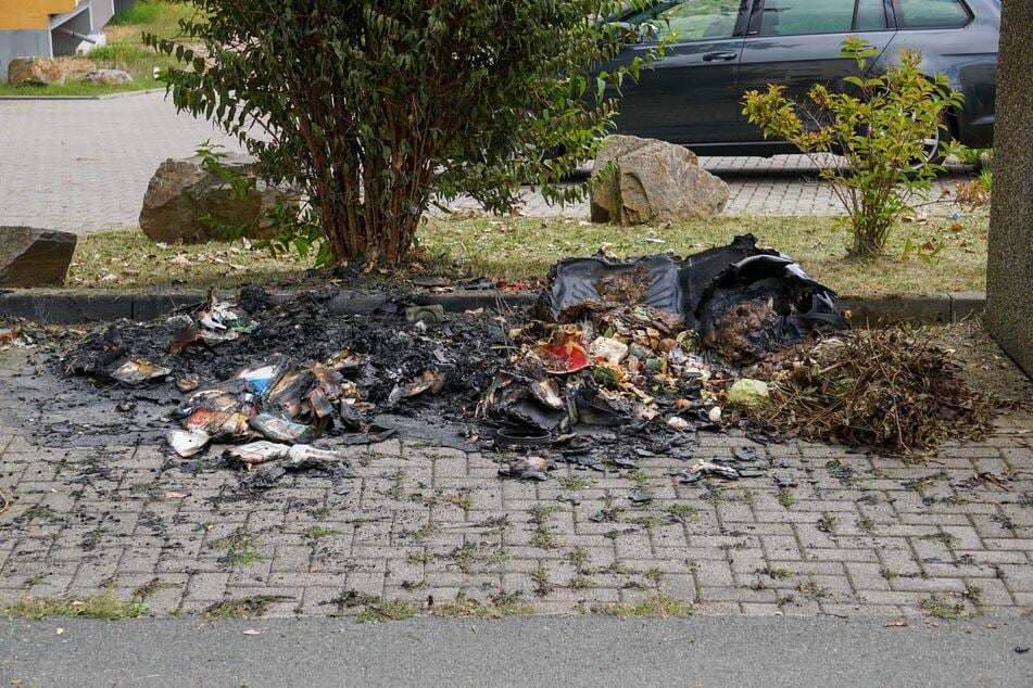 Von den Mülltonnen war nach dem Brand nicht mehr viel übrig.