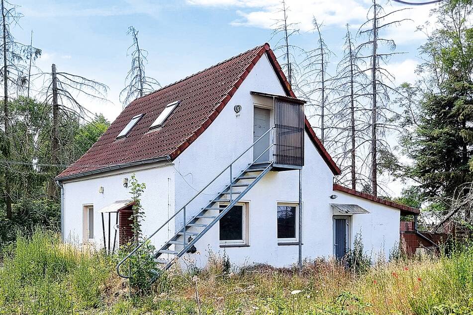 Ein Bürogebäude mit Anbau (ehemaliges Tierheim) in Salzwedel. Mindestgebot 59.000 Euro
