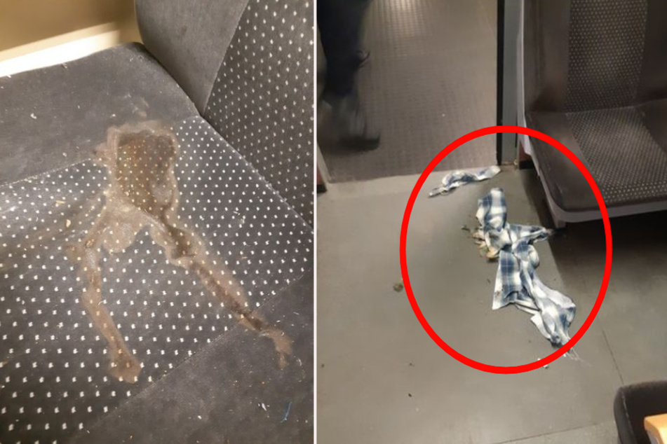 Die Fotos zeigen den verbrannten Sitz (links) und die Reste des angezündeten Hemds am Boden (rechts).