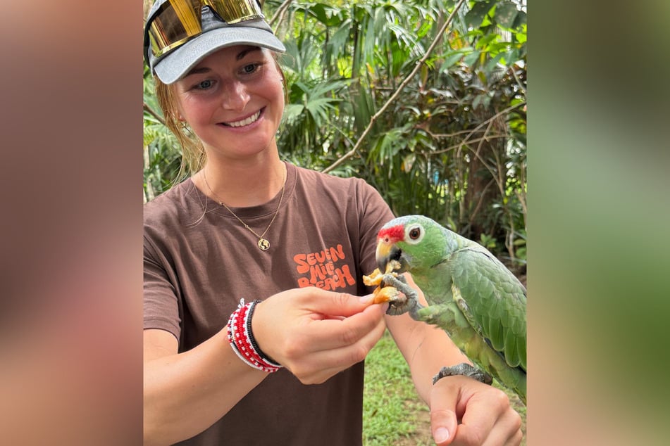 Zutraulich! Der Papagei setzte sich auf den Arm von Julia Taubitz und ließ sich füttern.