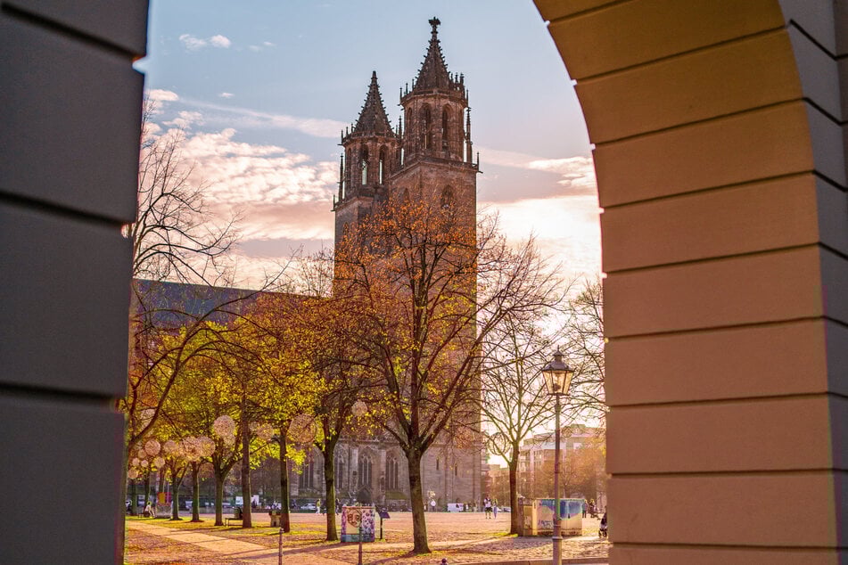 Der Domplatz wird am Wochenende zu einem großen Kreativmarkt.
