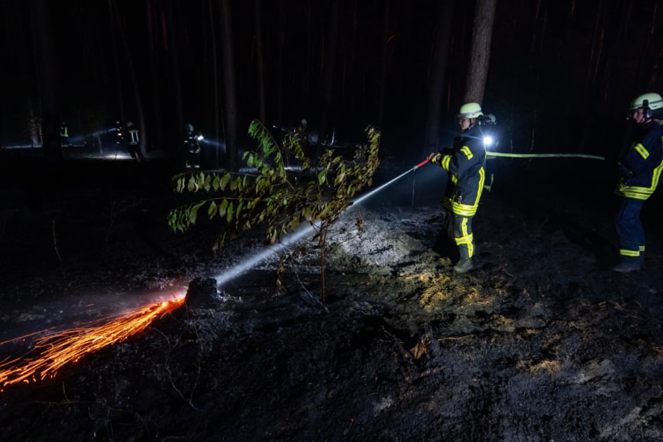 Die Feuerwehrleute suchen im Wald nach Glutnestern und löschen sie.