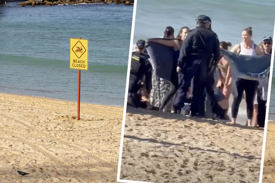 Badegäste hören "erschütternden Schrei": Schwimmerin nach Hai-Attacke in Lebensgefahr