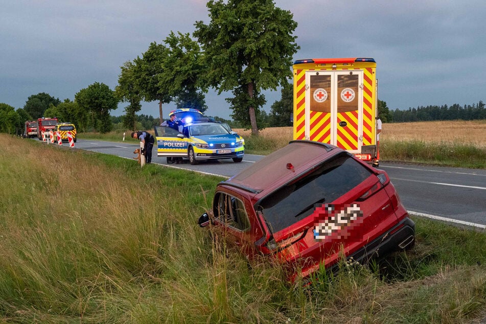 Mit über zwei Promille setzte ein Trunkenbold (59) seinen Honda in den Straßengraben.