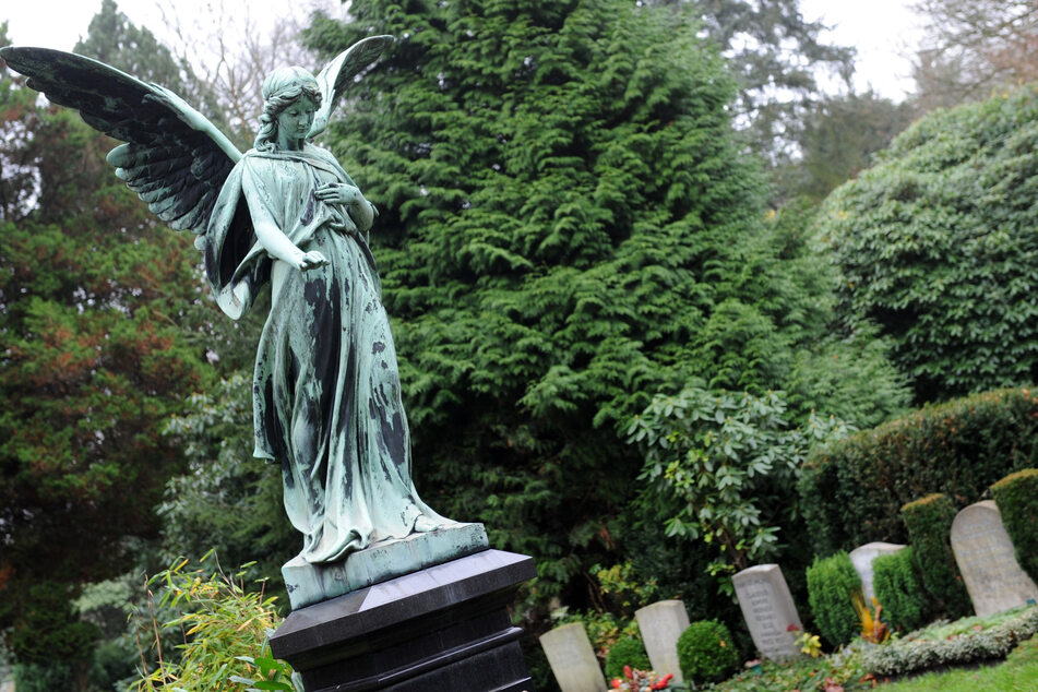 Grabstellen auf dem Friedhof Ohlsdorf können nun online gekauft werden. (Archivfoto)
