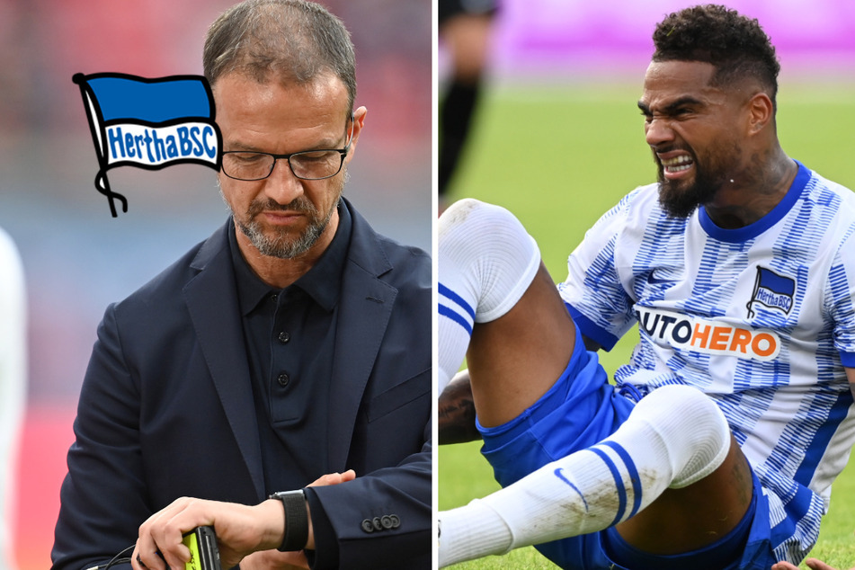 Besonderere Rückkehr für Bobic und Hertha-Star Boateng, aber spielt der Prince auch?