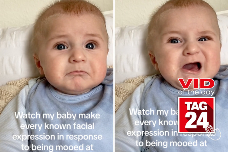 viral videos: Viral Video of the Day for November 2, 2023: Meet the world's most expressive baby