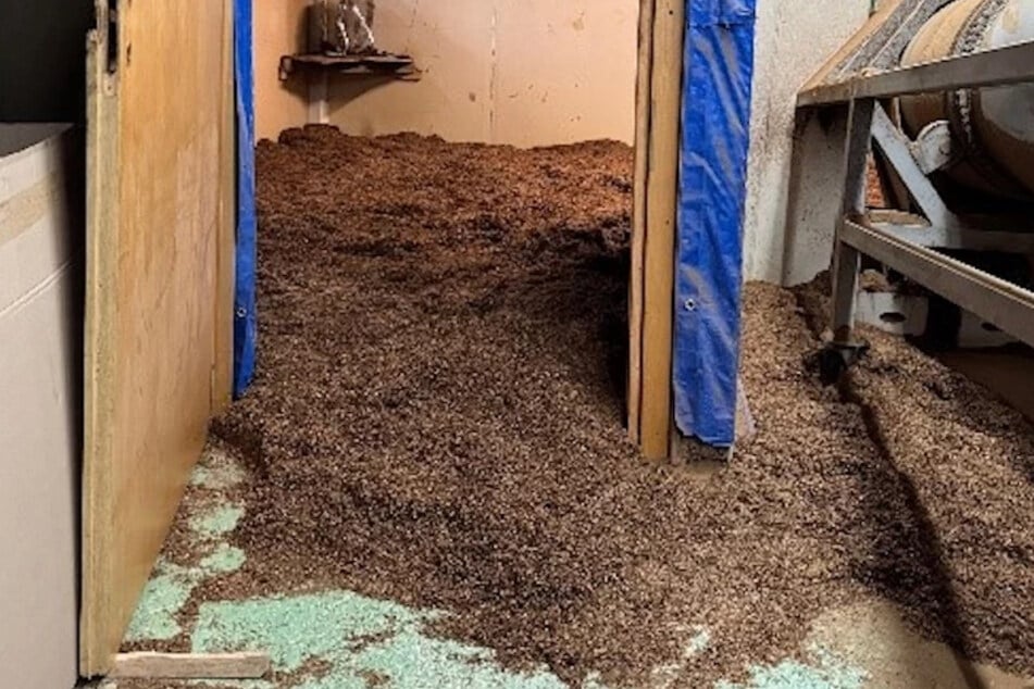 Unter anderem fanden die Beamten in der Halle rund 15 Tonnen Tabak.