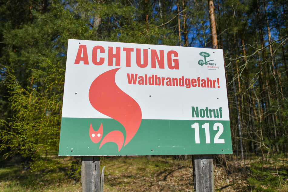 Ein Schild vom Landesbetrieb Forst Brandenburg mit der Aufschrift "Achtung Waldbrandgefahr! Notruf 112" steht an einem Wald. (Archivbild)