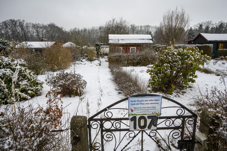 An einem Gartentor in der Sparte "Am Frischborn" wirbt ein Pächter mit einem Schild um einen Nachfolger.
