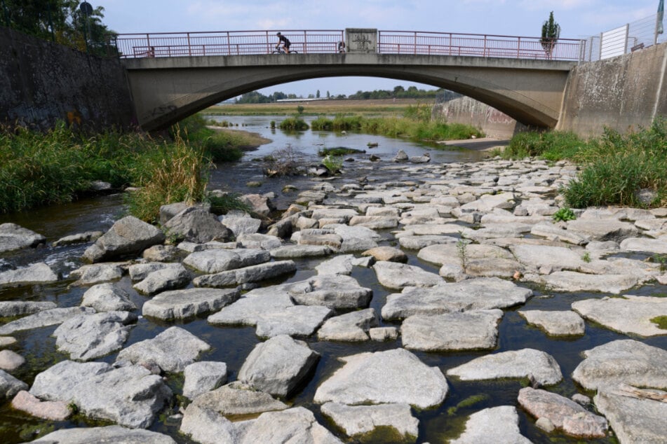 Sachsen, Dresden: Wenig Wasser führt die Weißeritz an der Mündung zur Elbe.