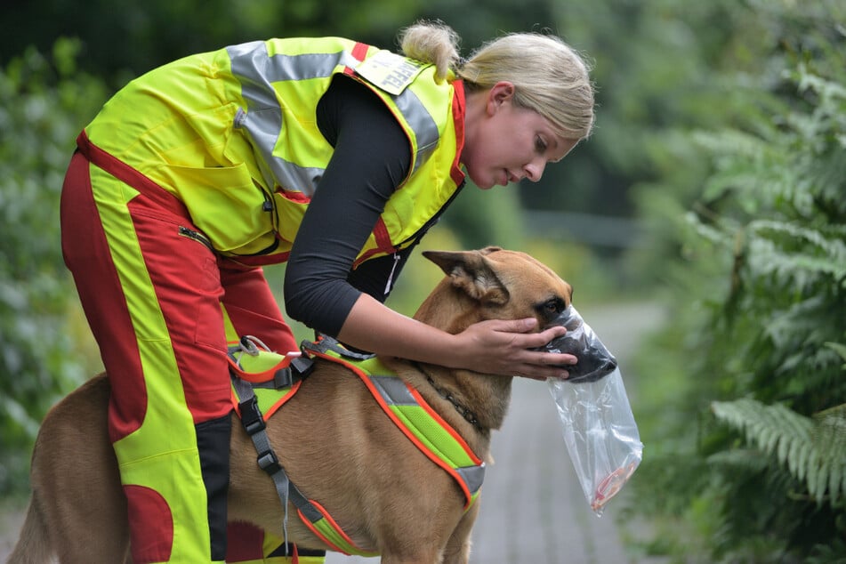 Über einen Gegenstand des Vermissten nimmt der Rettungshund die Fährte auf.